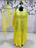 Anarkali-Style Embroidered Dress